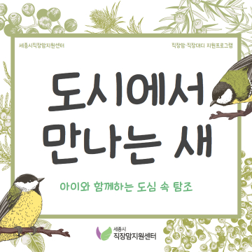 [숨쉼터] 도시에서 만나는 새